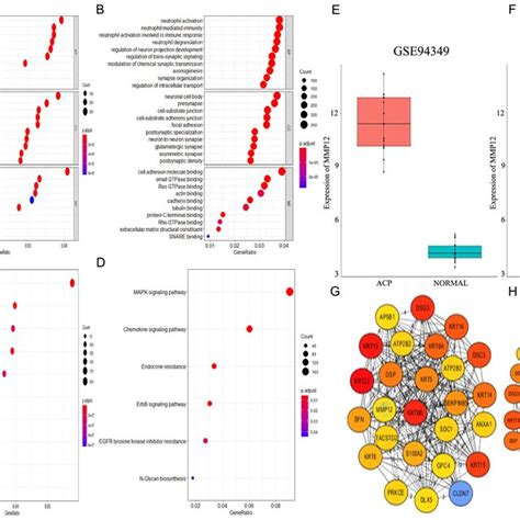 Gene Ontology And Kyoto Encyclopedia Of Genes And Genomes Pathway Download Scientific Diagram