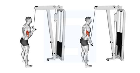 Cable Pushdown Guide Benefits And Form