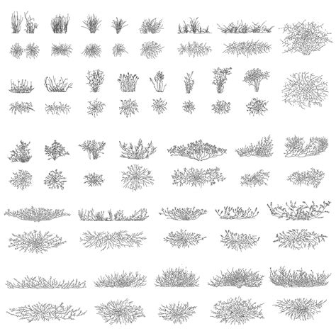 Shrubs and Bushes DWG CAD Blocks in Plan and Elevation – Cadnature