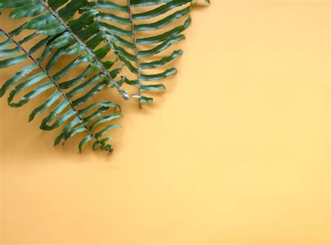 Premium Photo Green Leaves On Yellow Background