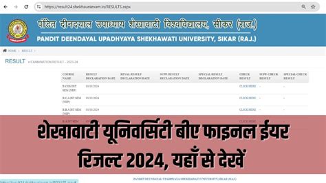 Shekhawati University Ba Final Year Result