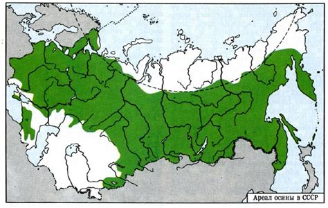 Слова и выражения - Русский язык - Каталог статей - Блог Ильи Винштейна