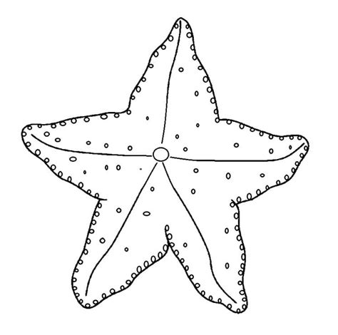 Dibujos De Estrella De Mar Para Colorear Para Colorear Pintar E