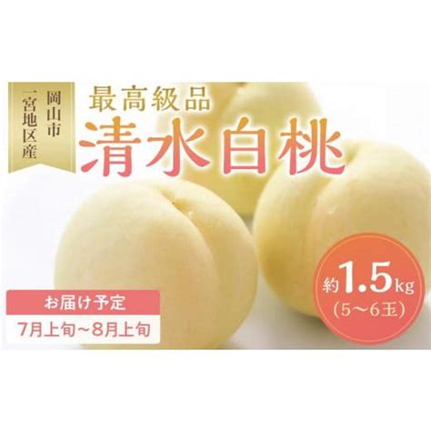 ふるさと納税 岡山県 岡山市 桃 2024年 先行予約 清水 白桃 5〜6玉入 約15kg箱 岡山市一宮地区産 もも モモ フルーツ 果物