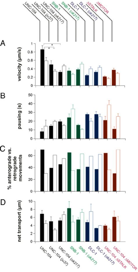 Effect Of Syd On Unc Motility In Primary Neuronal Cell Culture