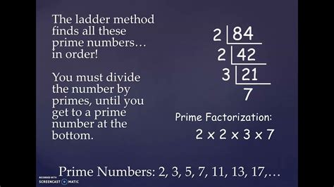 Ladder Method To Find Prime Factorization YouTube