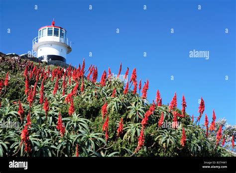 Cape Point Lighthouse Stock Photo - Alamy