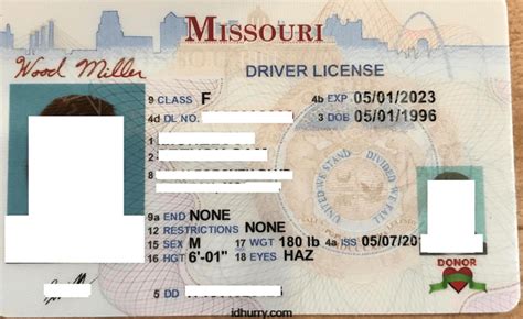 Fillable Editable Blank Drivers License Template