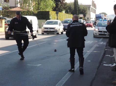 Agganciato Da Un Camion Muore Dopo Ore Di Agonia