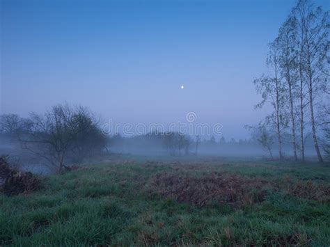 Paisagem Do Nascer Do Sol Da Mola Imagem De Stock Imagem De Fen Meno