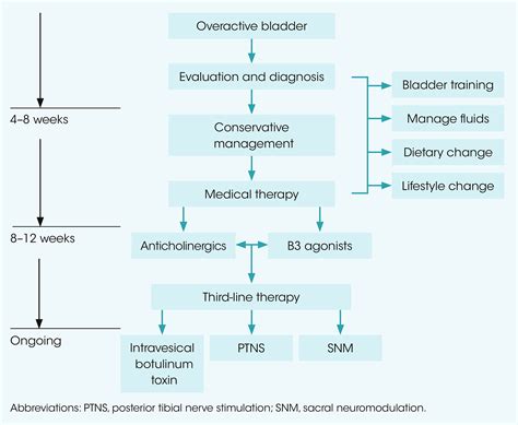 Busting For Change A Care Pathway For Overactive Bladder Kovacic