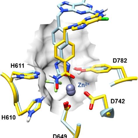 Superimposition Of The Representative Binding Modes Of Compounds