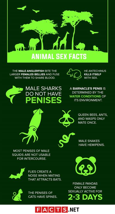 30 Animal Sex Facts & Secrets You Never Knew - Facts.net