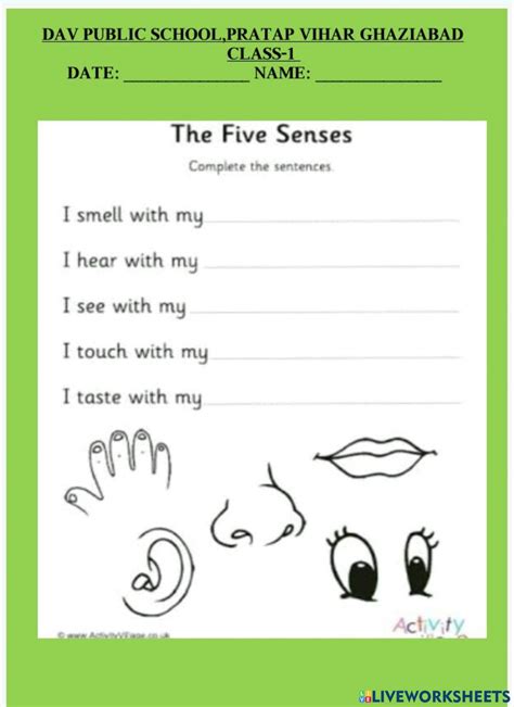 Sense Organs Interactive Worksheet Live Worksheets