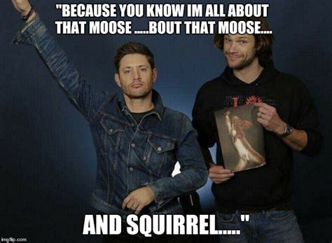 Moose And Squirrel Imgflip