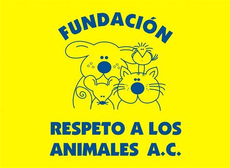 Adopta Un Perro Servicio Nacional De Sanidad Inocuidad Y Calidad