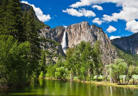 Bus Tour From San Francisco To Yosemite Park - Tour Look