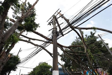 Enel Diz Que Precisa Reconstruir Trechos Inteiros Da Rede Para