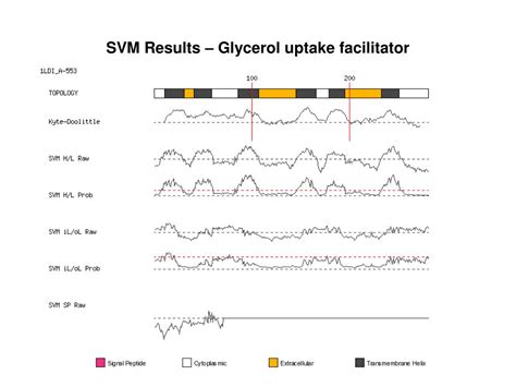 Ppt Using Support Vector Machines For Transmembrane Protein Topology