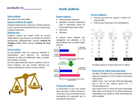 SOLUTION Toxicologia Estres Oxidante Studypool