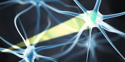 Brain Control With Light It S Possible With Optogenetics Light Neuroscience Brain