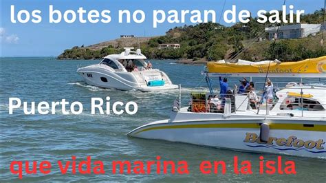 LA MARINA MAS GRANDE DE PUERTO RICO YouTube