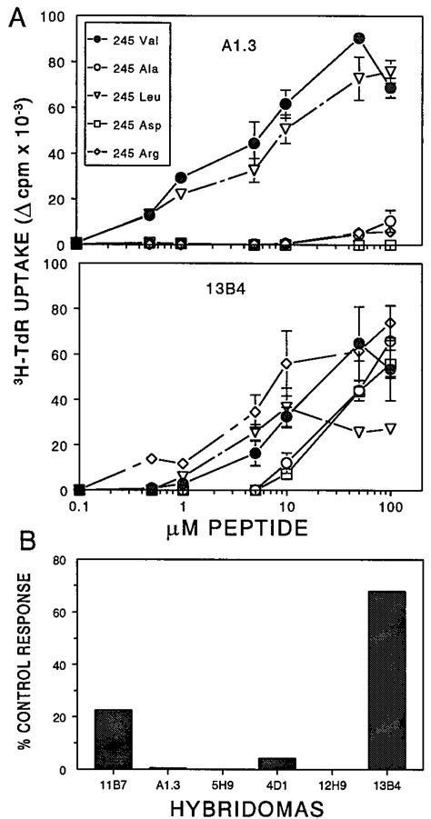 The Stimulation Levels Of V16 VP1 237 245 Specific T Cell Hybridoma