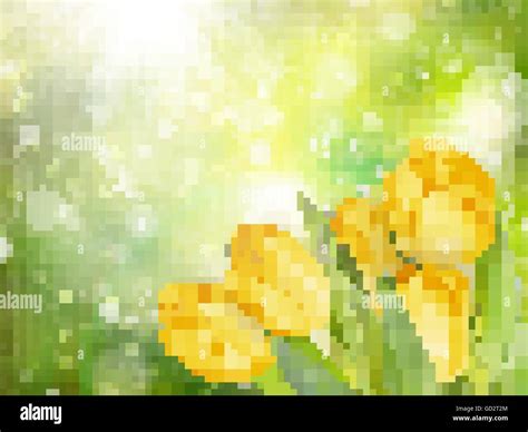 Pastel Spring Tulips Border Eps Stock Vector Image Art Alamy