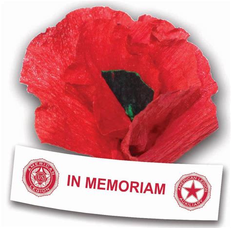 National Poppy Day Remembering The Fallen And Supporting The Living Mip