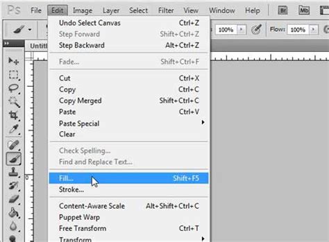 How to Fill a Background Layer in Photoshop CS5 - Solve Your Tech