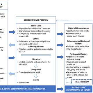 Summarizes The Study S Findings In The Who Conceptual Framework On