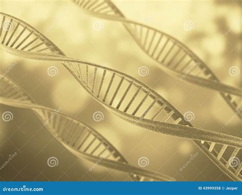 De Structuur Van DNA Stock Illustratie Illustration Of Genetisch