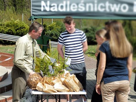 Nadle Nictwoa Barycz I Ruda Maleniecka W Pi Tek Rozdadz Sadzonki Drzew