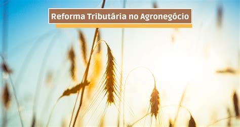 Reforma Tributária no Agronegócio simplificação e não aumento