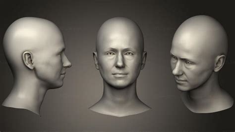 Anatomy Of Skeletons And Skulls Caucasian Adult Female Head Scan