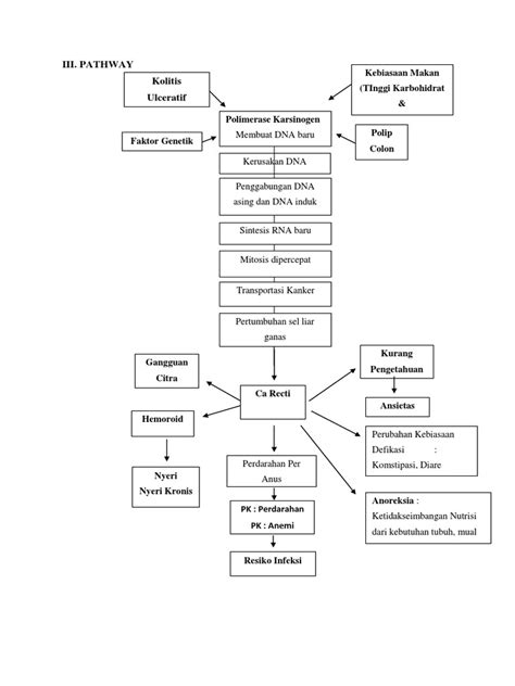 Woc Ca Recti Pdf