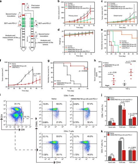 Anticancer Activity Of Hmme R Lip Augmented Sdt Plus Anti Pd L