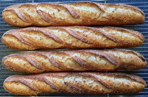 Open Crumb Baguettes The Fresh Loaf