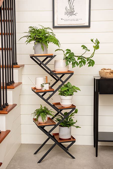 Beautify Your Home With A Bit Of Greenery FCT News