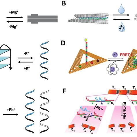 Dna Nanostructure Assembly I Designing Dna Nanostructure With