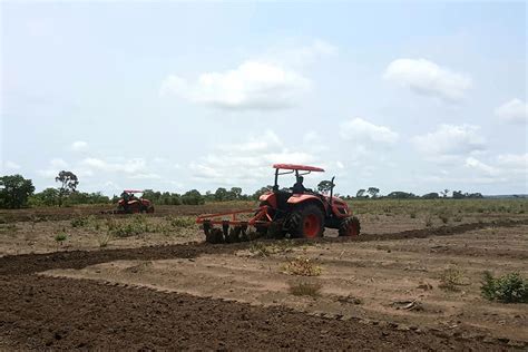 ANGOAVI quer implementar projectos de agricultura familiar no Uíge