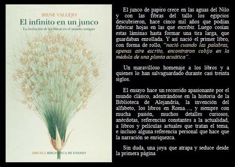 El Infinito En Un Junco Irene Vallejo En Libros Recomendados