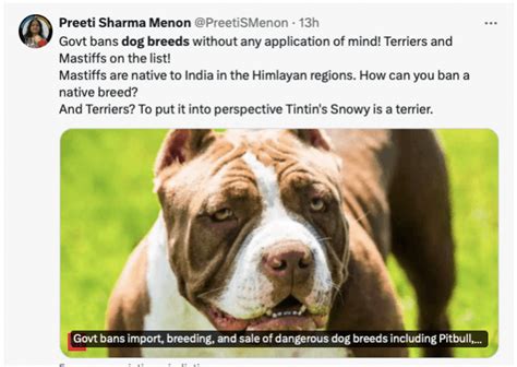 Peta India Welcomes Centres Decision To Ban 23 Ferocious Dog Breeds