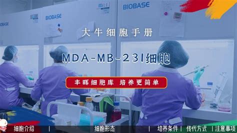 Mda Mb 231细胞培养，人乳腺癌细胞培养攻略 知乎