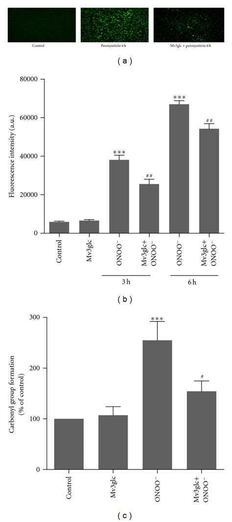 Mv3glc Decreases Peroxynitrite Mediated Reactive Species Production A