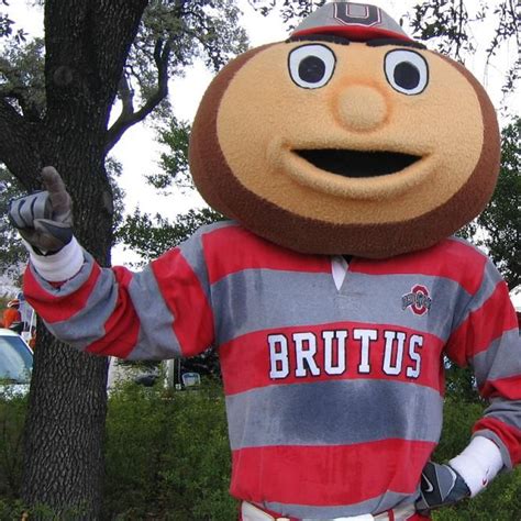 Ohio Buckeyes Mascot Ohio State Buckeyes Football Ohio State