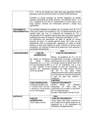 Informe Final Viveros Grupo 19 PDF