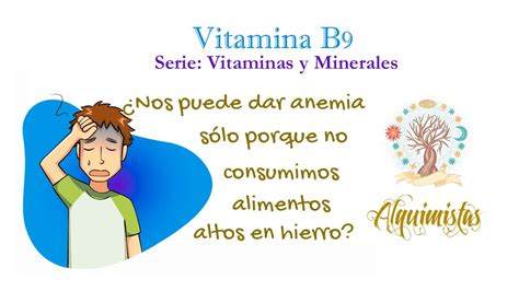 Vitamina B Deficiencia Toxicidad Y Funcionalidad Youtube