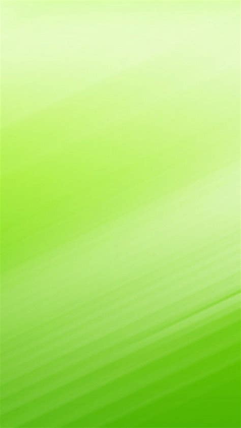 Light Green Color Wallpaper