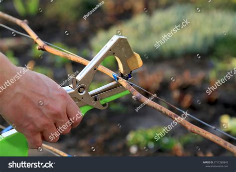 4,469 Vineyard Tools Images, Stock Photos & Vectors | Shutterstock